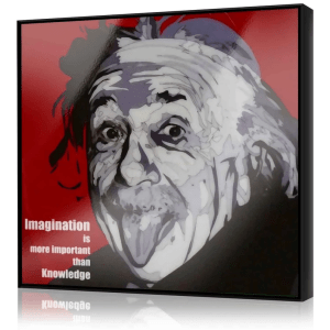 Einstein Framed Wall Art