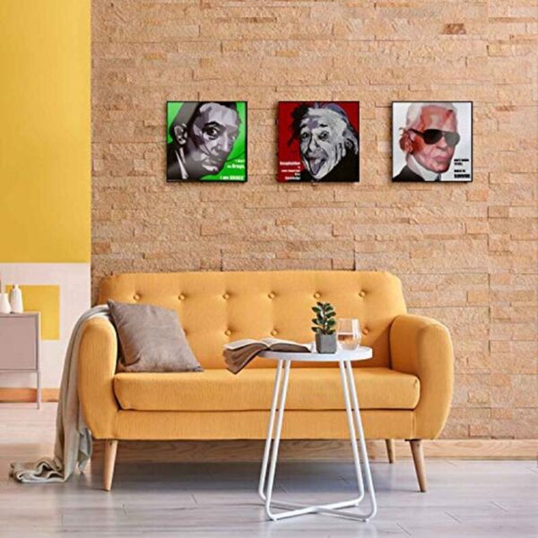 Einstein Handmade Framed Wall Decor | Exclusive Wall Decorations | Living Room & Office Decor | Handmade Pop Art | Crazy George Atelier